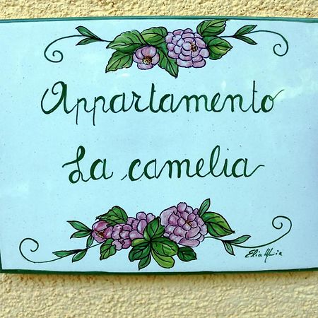 Appartamenti L'Olivo Bagnone Εξωτερικό φωτογραφία
